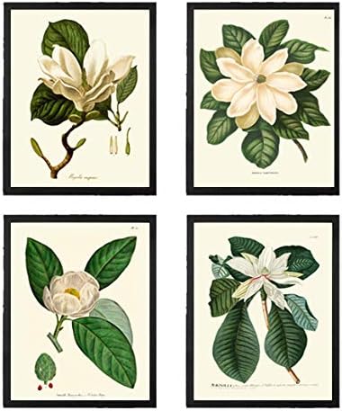 🌸✨ Magnolia Wall Art 🖼️🌿 | Elegant Floral Décor 💛🏡